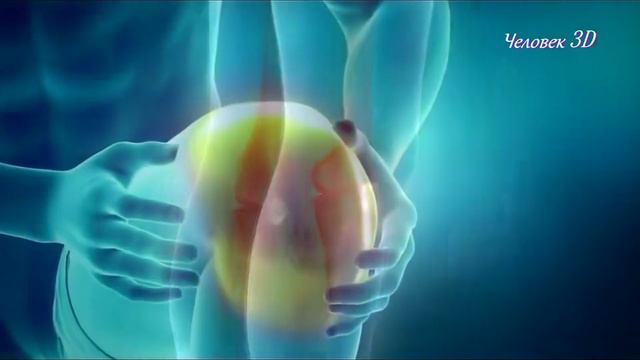 3D человек смотреть онлайн