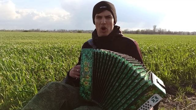 В чистом поле под ракитой. Прилуцкий Владимир Ростов-на-Дону смотреть онлайн