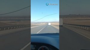 СВО Главное