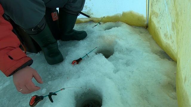 Рыбалка на Финском Заливе. Ловля белой рыбы в палатке. Отчёт с дневной рыбалки. смотреть онлайн