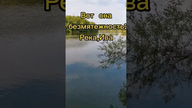 Счастье есть!Оглянись!#река#вода #душевное равновесие #тишина #медитация #shorts смотреть онлайн