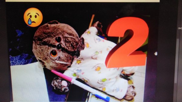 Степка получил 2