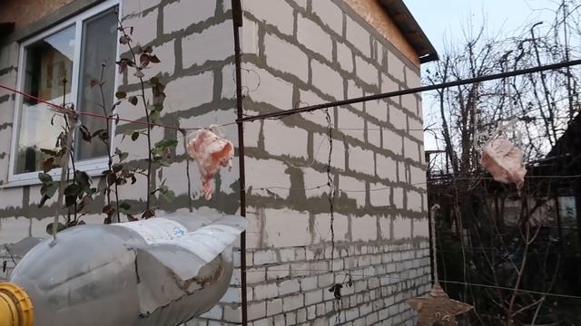 VLOG // Дистанционное обучение // Школа на дому// смотреть онлайн