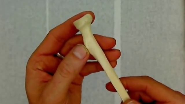 features of the radius.wmv смотреть онлайн