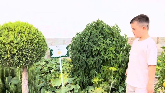 BULGARIA DAY 3 TUI BLUE NEVIS (Sunny beach) смотреть онлайн