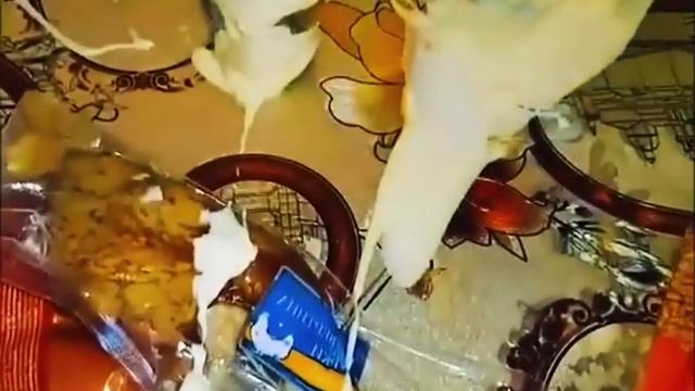 Нарезка приколов смотреть онлайн