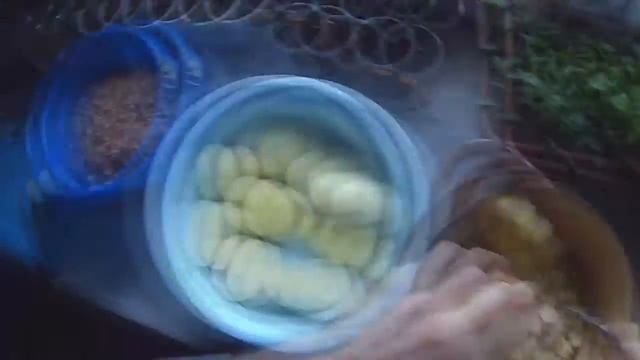 Фаршированная картоха смотреть онлайн