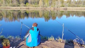 на Лугу за сыртью с фидером