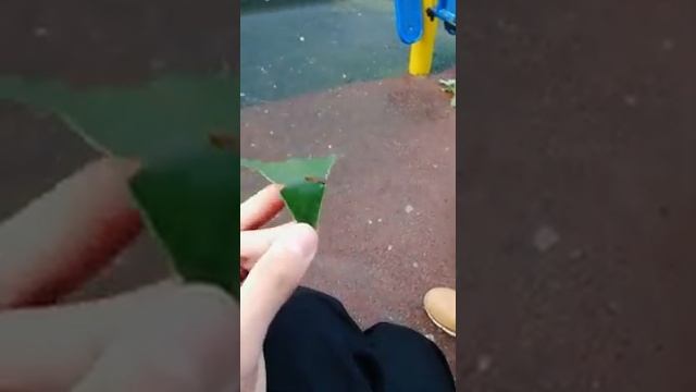как сделать свистульку из листвы клена, гайд смотреть онлайн