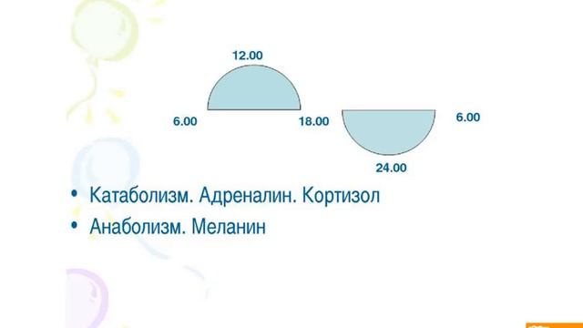 Во сколько утром надо вставать, чтобы всё успеть И почему Попова И смотреть онлайн