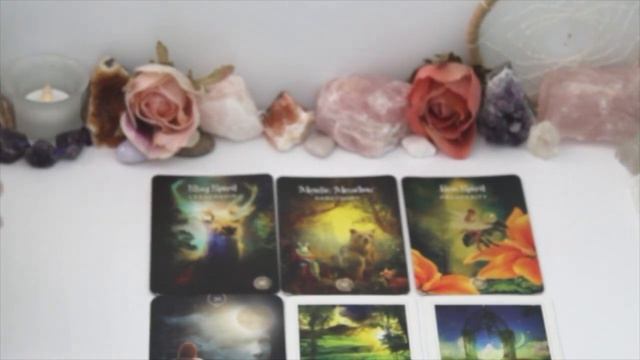 Gemini Season For All ? Oracle & Twin Swallowtail Butterflies Spirit Message??? смотреть онлайн