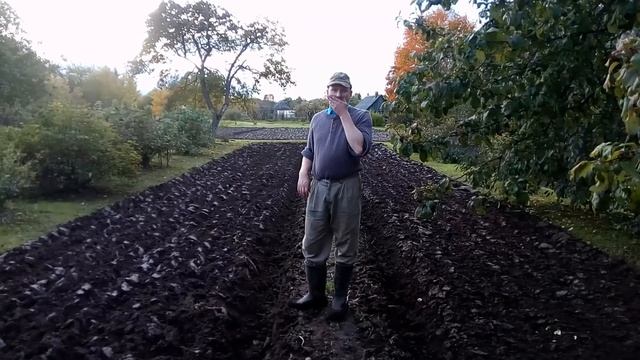 Мотоблок МТЗ-12 осенняя вспашка в развал (2017). смотреть онлайн