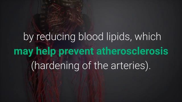 16 Proven Benefits of Black Seed Oil (Nigella Sativa) смотреть онлайн