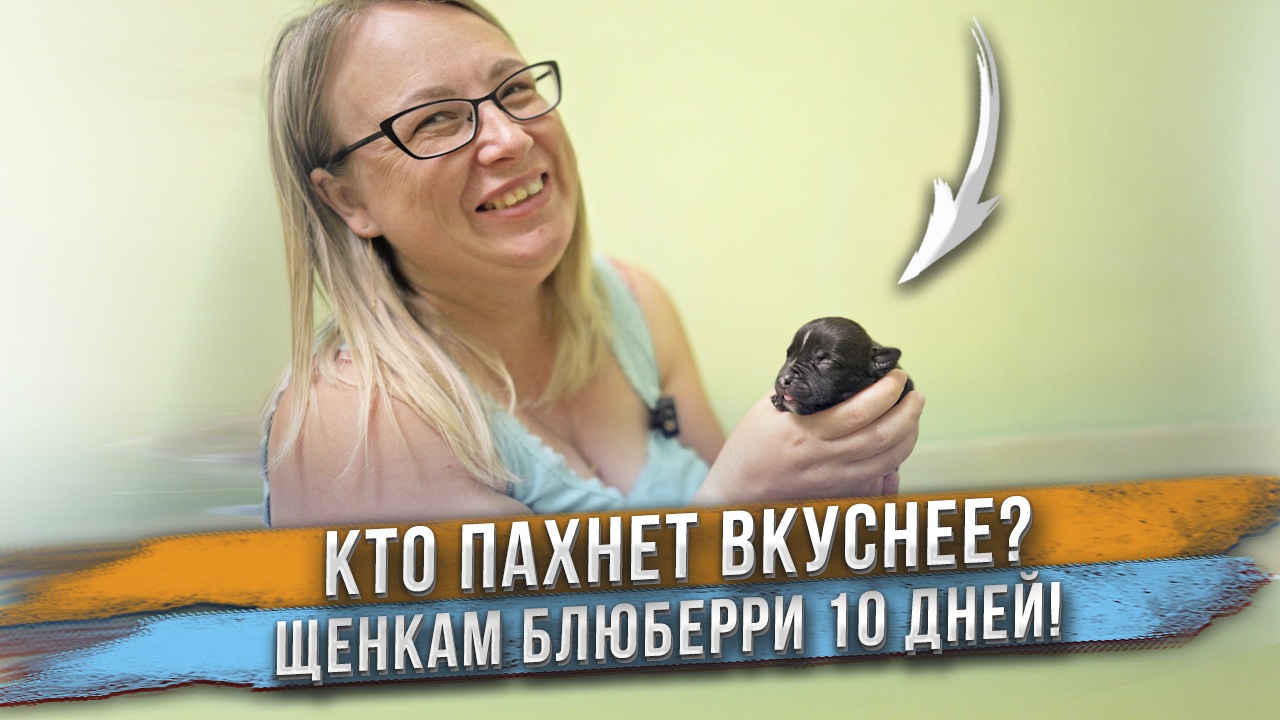 Сравнила запах щенка и ребенка. Кто же пахнет вкуснее? смотреть онлайн