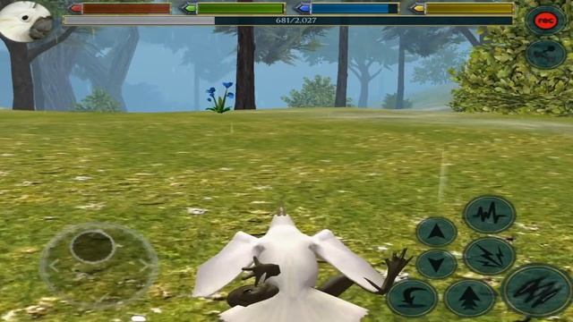 #Cockatoo Simulator -Ultimate Bird Simulator - By Gluten Free games- W/Commentary смотреть онлайн