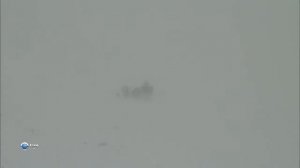 Тундра. Жизнь в Тундре. Удивительное путешествие в тундру. Чукотка. Tundra.