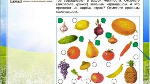 Задание 1 Почему нужно есть много овощей и фруктов? - Окружающий мир 1 класс (Плешаков А.А.) 2 част