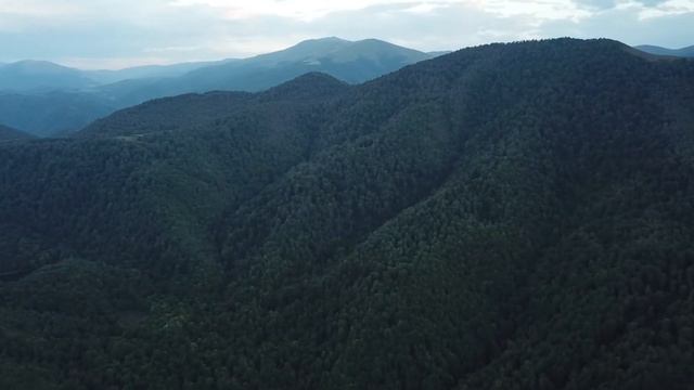 Гош / Գոշ смотреть онлайн