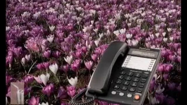 ПОМОГ ПРИ АЛЛЕРГИИ ДЫХАТЕЛЬНЫЙ ТРЕНАЖЕР ТУИ БУКИНА, СУПЕРЗДОРОВЬЕ смотреть онлайн