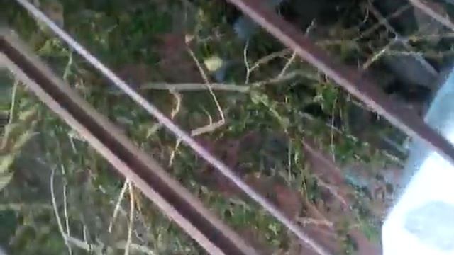 Это было на котельной. смотреть онлайн