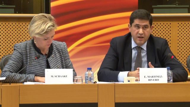 Interconnection hearing European Parliament смотреть онлайн