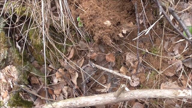 Вокруг Шайтанского месторождения переливта смотреть онлайн