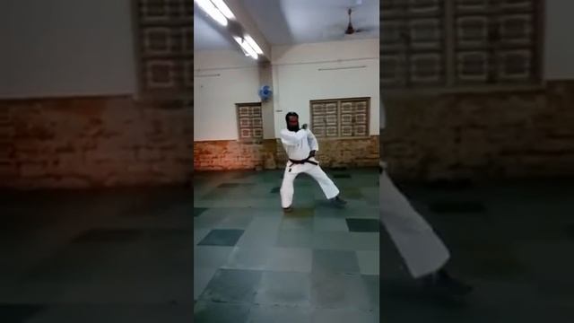 Tekki shodan karate fight смотреть онлайн