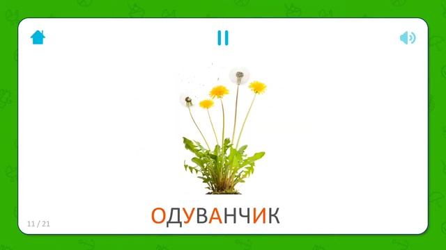 Изучаем цветы, обучающее видео для детей, новые развивающие мультики смотреть онлайн