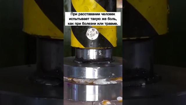 Психологические факты, которые тебя удивят смотреть онлайн