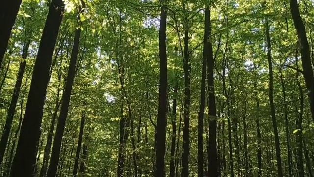 Реинкарнация. Прошлые жизни. Как вспомнить свои прошлые жизни, воплощения? смотреть онлайн