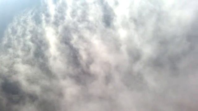 Catherine Marselle/финский залив смотреть онлайн