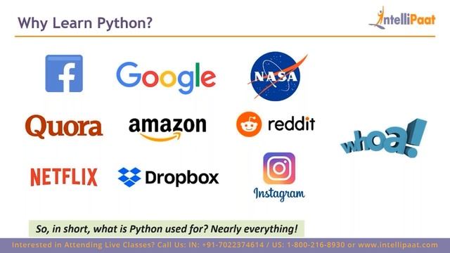 Future Scope of Python Developer | Python Developer Process | Intellipaat смотреть онлайн