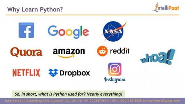 Future Scope of Python Developer | Python Developer Process | Intellipaat