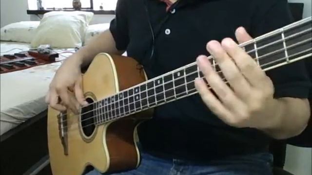 Polly bass cover - Nirvana смотреть онлайн