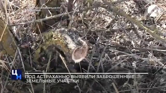 Сотрудники Россельнадзора выявили в Камызякском районе, заброшенные сельскохозяйственные земли. смотреть онлайн