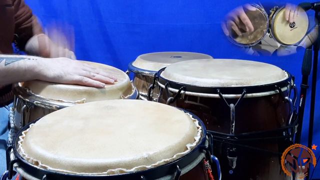 #TIMBA - CONGAS AND BONGOS - #LatinJazz смотреть онлайн