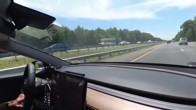 Tesla Model 3 Road Trip: NYC to Savannah, GA with a Big Dog! Part 1 смотреть онлайн