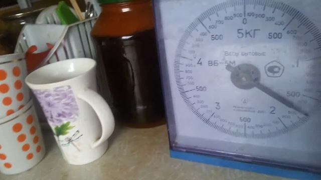 Алабаи. САО. Наш рацион на сегодня. смотреть онлайн