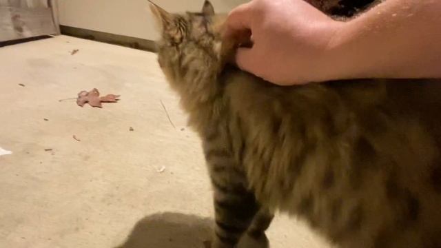 Lucky loving life смотреть онлайн