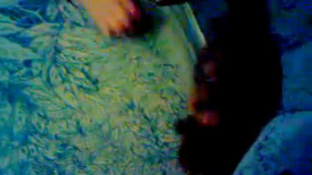 Кошка приносит конфету.3gp смотреть онлайн