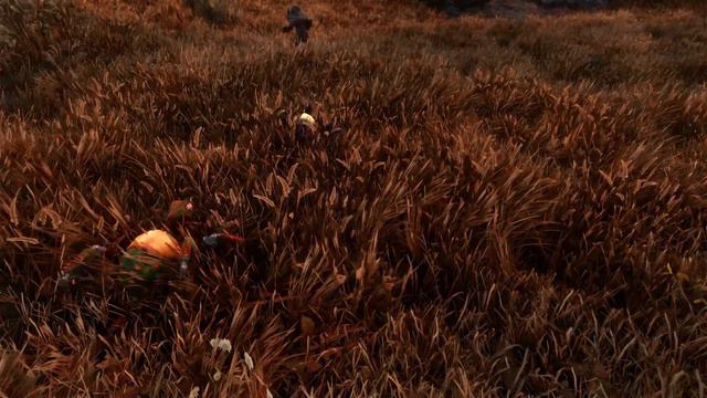 Helicopter werewolf turns into lizard and leaves with 2 insects | Skyrim Anniversary Edition смотреть онлайн