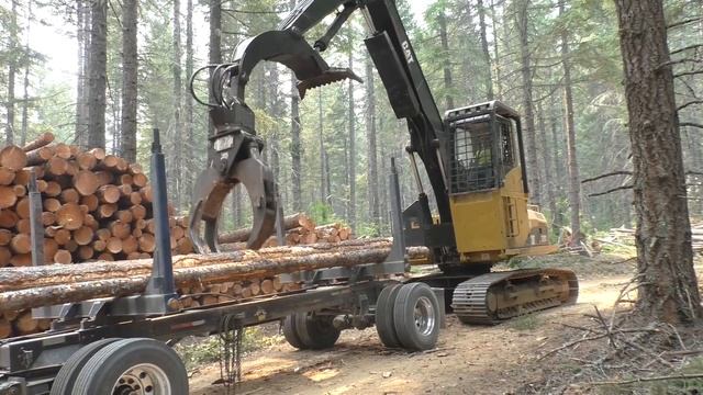 Kenworth T-800 Loggingtruck | Loaded By CAT 320C LL | Northamerica Tour '17