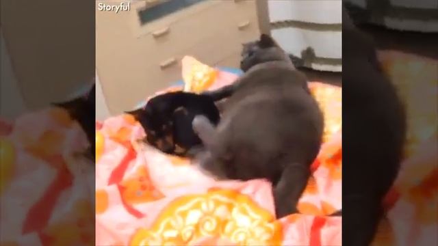 моё отстань ребятам на фронт я там уже был и знаю каково это 2202 2003 4591 2586 смотреть онлайн