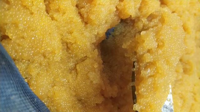 Икра щуки из Астрахани. Астраханское золото 🏆 смотреть онлайн