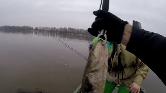 Vlog # 16 Открытие , неправильный сом , тест GRAPHITELEADER TIRO Nuovo 4-22g смотреть онлайн
