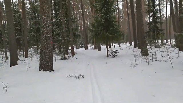 На лыжах к Коляному Ореховому озеру смотреть онлайн