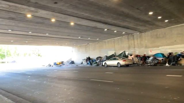 Жизнь под мостом в Лос-Анджелесе! Шок! смотреть онлайн