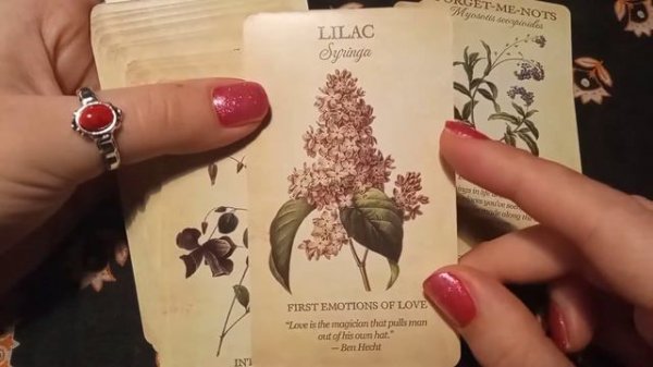 Ботанический оракул/Botanical Inspiration Deck (реплика AliExpress). Обзор колоды