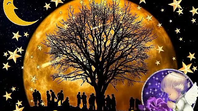 Спокойной ночи Сладких снов Sweet dreams Good night GIF картинки открытки! Для соц сетей. смотреть онлайн