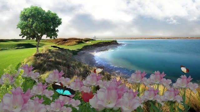 Художник Дональд Золан и его мир беззаботного детства. смотреть онлайн